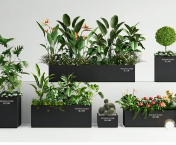 Modern Flower Bed, Flower Bowl, Flower Box-ID:238823899