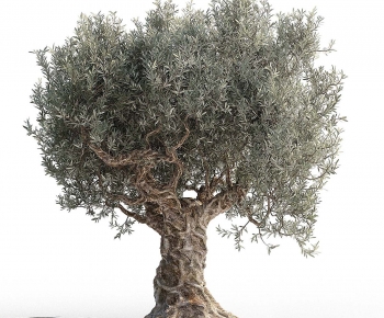 Modern Tree-ID:968364002