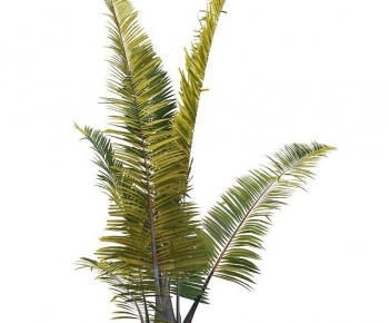 Modern Tree-ID:803808936