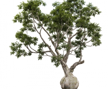 Wabi-sabi Style Tree-ID:644181015