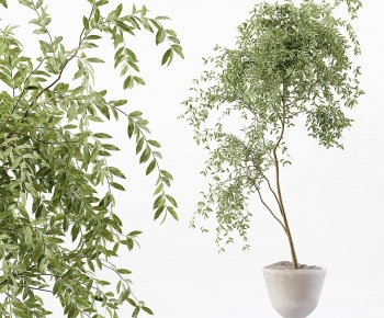 Modern Ground Green Plant Potted Plants-ID:618710048