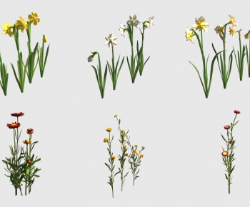 Modern Flowers And Grass-ID:723747012