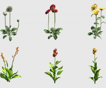 Modern Flowers And Grass-ID:932159906