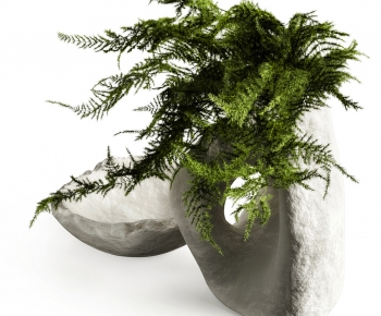 Modern Bonsai-ID:784048081