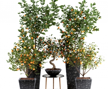 Modern Potted Green Plant-ID:137895115