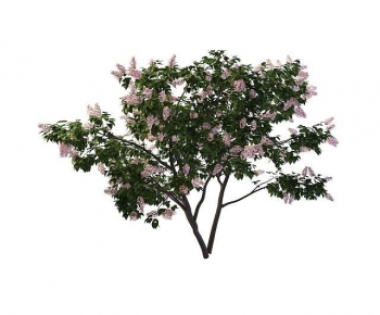 Modern Tree-ID:908214091