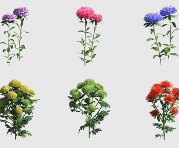 Modern Flowers And Grass-ID:569412952