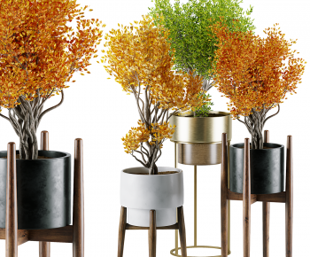 Modern Ground Green Plant Potted Plants-ID:559359075
