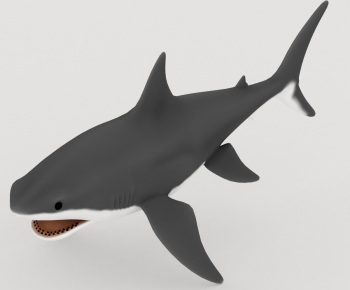 Modern Aquatic Animals-ID:187357901