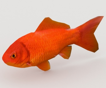 Modern Aquatic Animals-ID:344338898