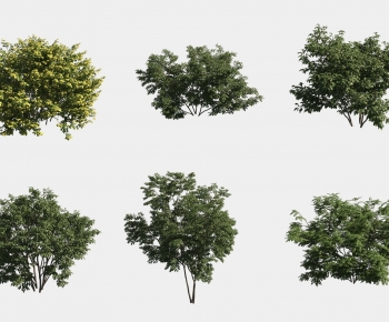 Modern Tree-ID:945831063