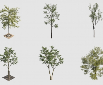 Modern Tree-ID:774560933