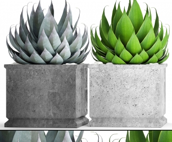 Modern Potted Green Plant-ID:508253106