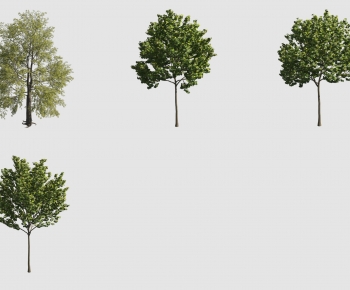 Modern Tree-ID:831469067