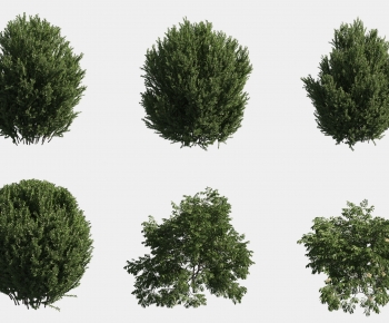 Modern Shrubbery-ID:322300911