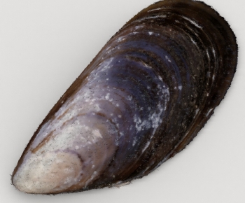 Modern Food/vegetables/fruit-ID:463321922