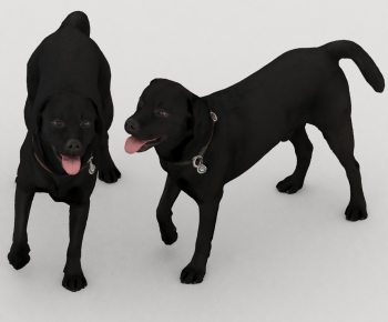 Modern Animal Dog-ID:249161964