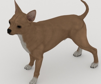 Modern Animal Dog-ID:683445939