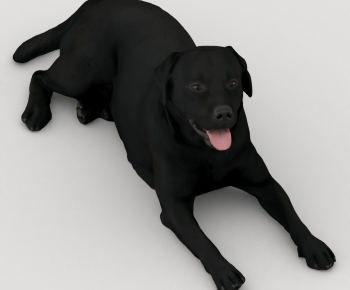 Modern Animal Dog-ID:965759824