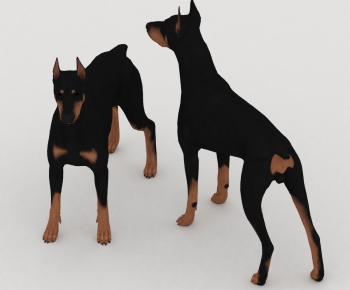 Modern Animal Dog-ID:627888926