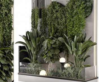 Modern Plant Landscaping-ID:285624989