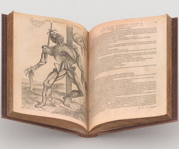 Modern Book-ID:631771092