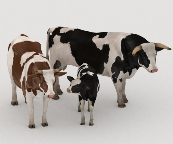 Modern Animal-ID:435281049