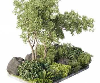 现代户外蕨类植物景观-ID:258106955