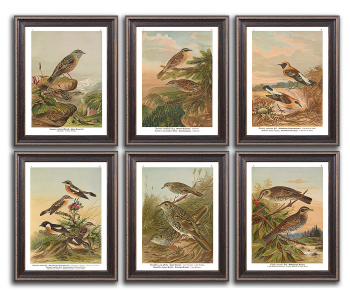 New Chinese Style Painting-ID:327179434