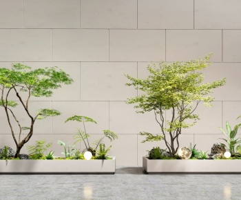 Modern Flower Bed, Flower Bowl, Flower Box-ID:461456063