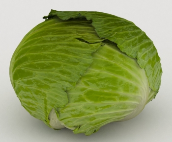 Modern Vegetables-ID:426080296