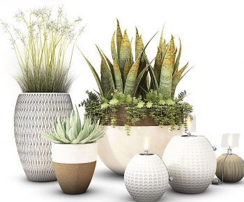 Modern Potted Green Plant-ID:947422032