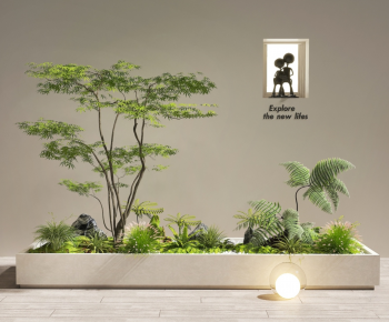 Modern Flower Bed, Flower Bowl, Flower Box-ID:981060986