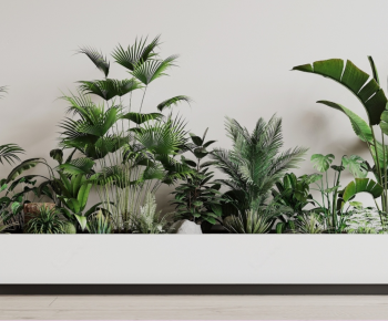 Modern Flower Bed, Flower Bowl, Flower Box-ID:677206997