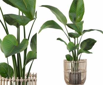 Modern Ground Green Plant Potted Plants-ID:384059056
