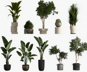 Modern Ground Green Plant Potted Plants-ID:893089062