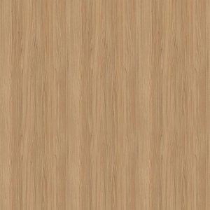 ModernWood Texture