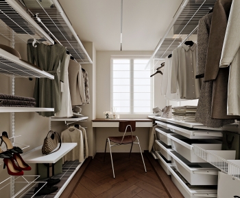 Modern Clothes Storage Area-ID:493030071