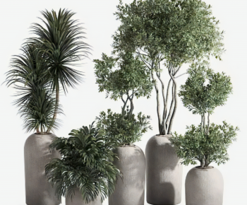 Modern Ground Green Plant Potted Plants-ID:220909121