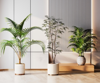 Modern Ground Green Plant Potted Plants-ID:939774047