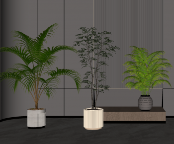 Modern Ground Green Plant Potted Plants-ID:420424947