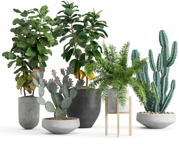 Modern Ground Green Plant Potted Plants-ID:480917934