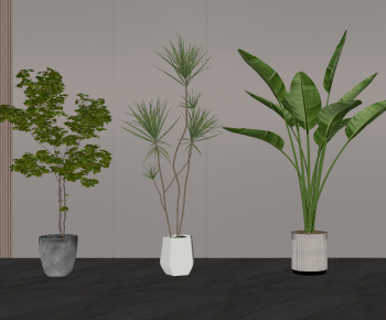 现代落地绿植盆栽组合-ID:635642059