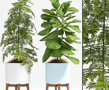 Modern Ground Green Plant Potted Plants-ID:108089455