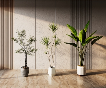 现代落地绿植盆栽组合-ID:275988104