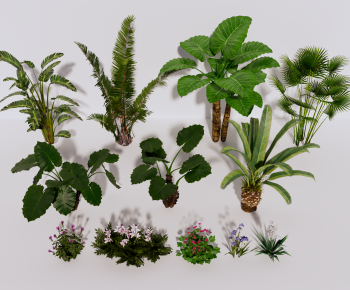 Modern Plant-ID:167084931