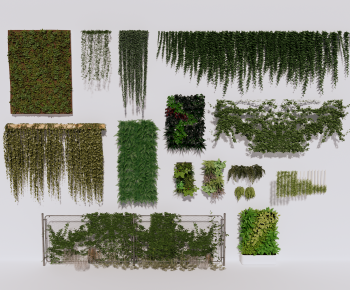 Modern Vine-ID:210675952