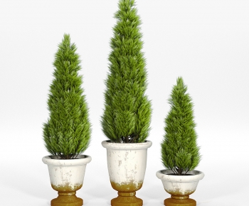 Modern Ground Green Plant Potted Plants-ID:576436045