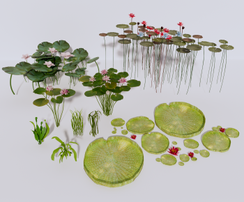 现代水生绿植组合-ID:764157061