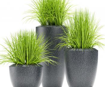 Modern Ground Green Plant Potted Plants-ID:627715111